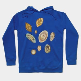 parasitic worm eggs Hoodie